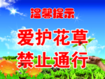 爱护花草温馨提示