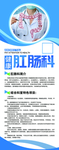 肛肠医学蓝色易拉宝