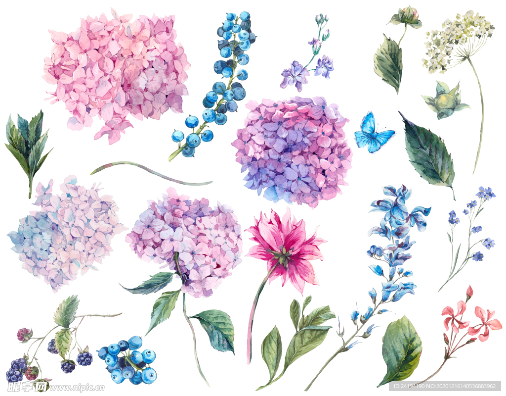 手绘花