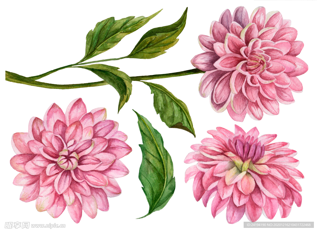 手绘花