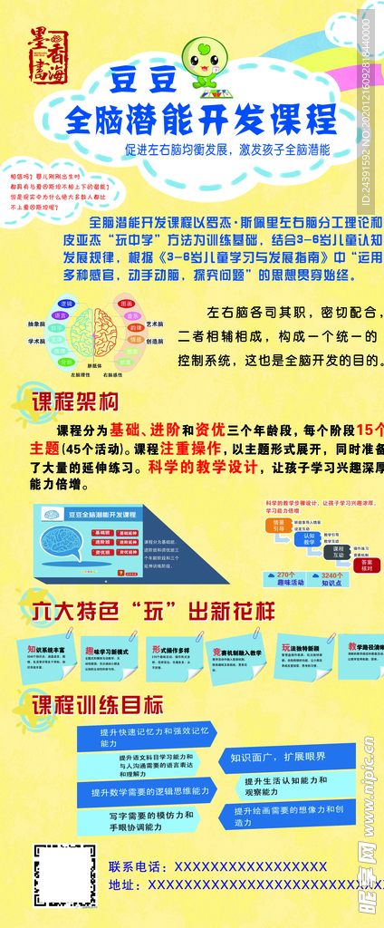 豆豆全脑展架