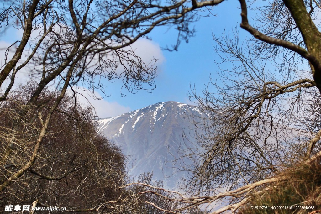 风景