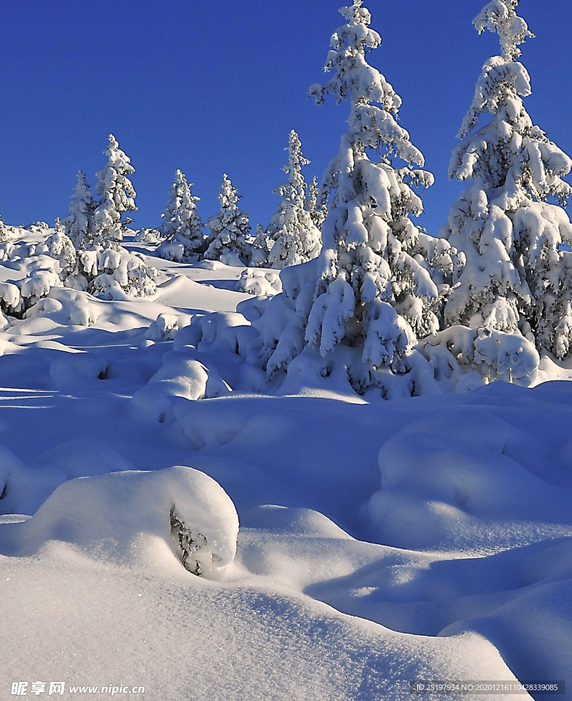 雪景