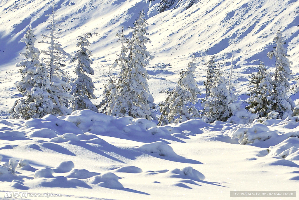 雪景