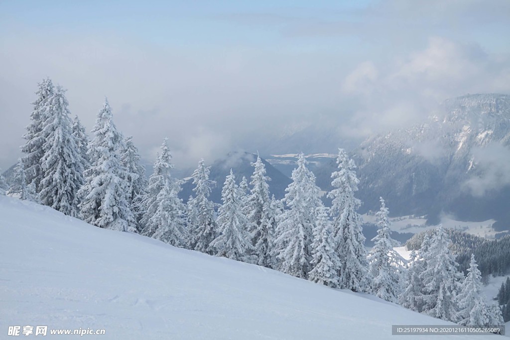 雪景