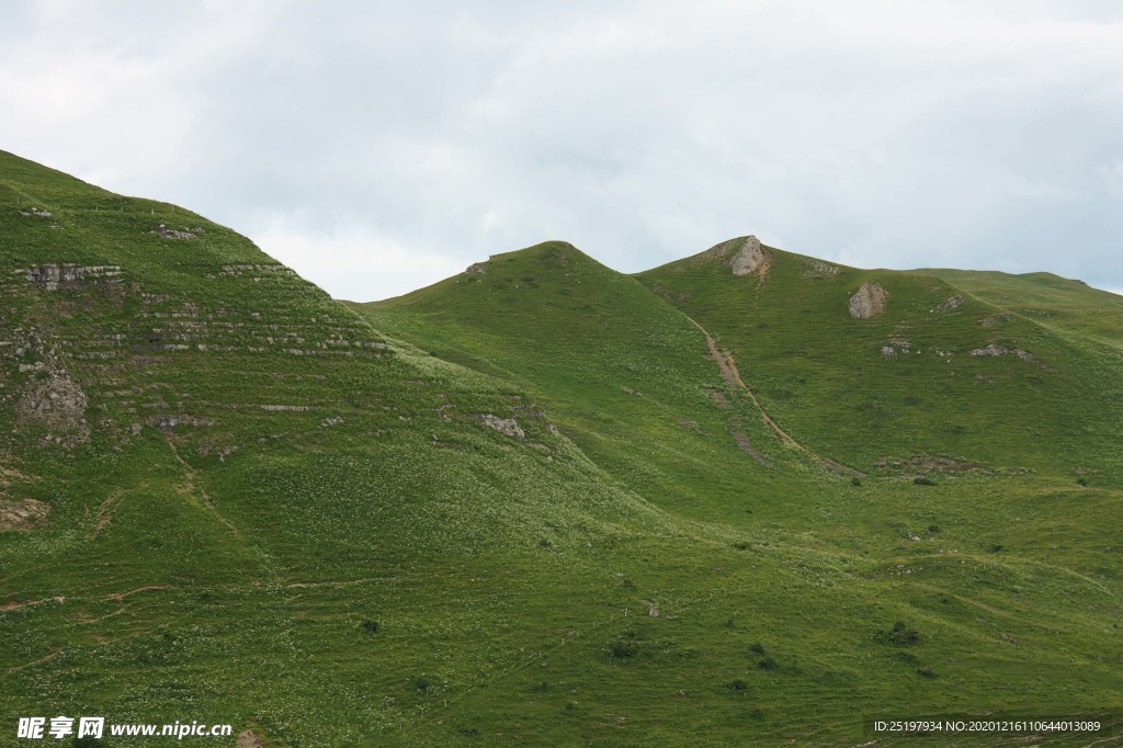 风景