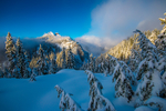 雪景