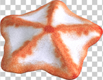 海星