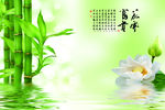花开富贵荷花竹子图