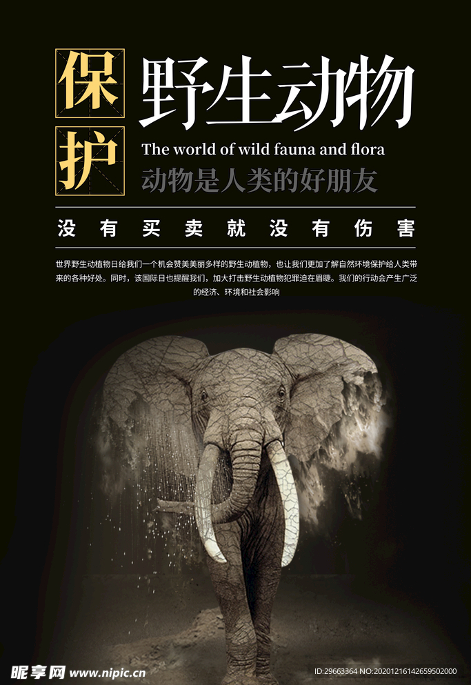野生救援
