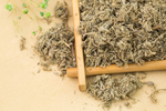 茵陈