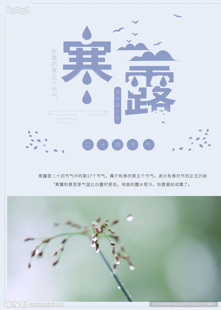 寒露