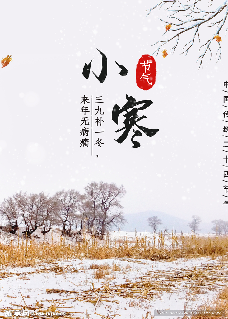 二十四节气小寒海报