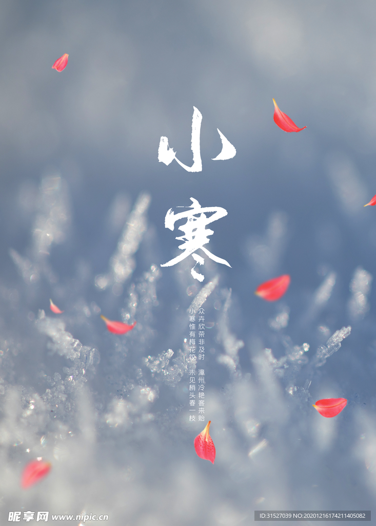 唯美24节气小寒宣传海报