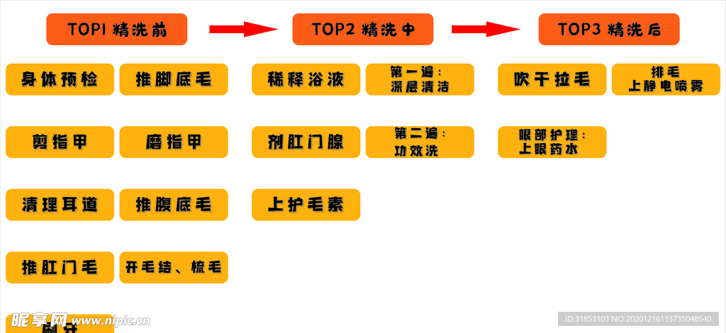 宠物洁牙 精洗步骤