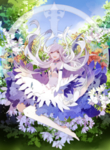 二次元动漫性感美女少女唯美妹子