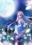 二次元动漫性感美女少女唯美妹子