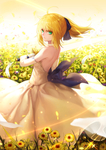 二次元动漫性感美女少女唯美妹子