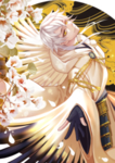 二次元动漫性感美女少女唯美妹子