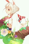 二次元动漫性感美女少女唯美妹子