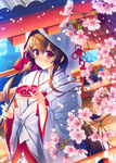 二次元动漫性感美女少女唯美妹子