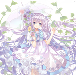 二次元动漫性感美女少女唯美妹子