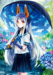 二次元动漫性感美女少女唯美妹子