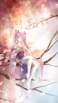 二次元动漫性感美女少女唯美妹子