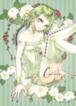 二次元动漫性感美女少女唯美妹子