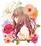 二次元动漫性感美女少女唯美妹子