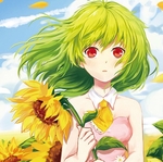 二次元动漫性感美女少女唯美妹子