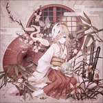 二次元动漫性感美女少女唯美妹子