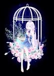 二次元动漫性感美女少女唯美妹子