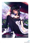 二次元动漫性感美女少女唯美妹子