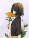 二次元动漫性感美女少女唯美妹子