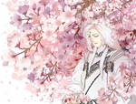 二次元动漫性感美女少女唯美妹子