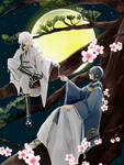 二次元动漫性感美女少女唯美妹子