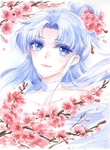 二次元动漫性感美女少女唯美妹子