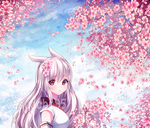 二次元动漫性感美女少女唯美妹子