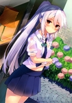 二次元动漫性感美女少女唯美妹子