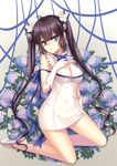 二次元动漫性感美女少女唯美妹子