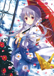 二次元动漫性感美女少女唯美妹子