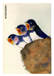 燕归来