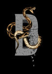 字母蛇