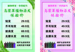 染发价目表