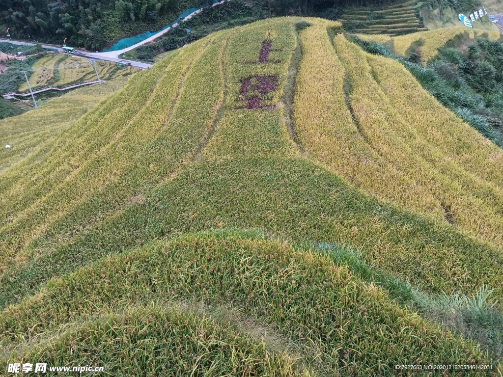 上堡梯田