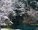 山水 风景油画