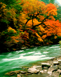 山水 风景油画