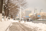 雪后道路