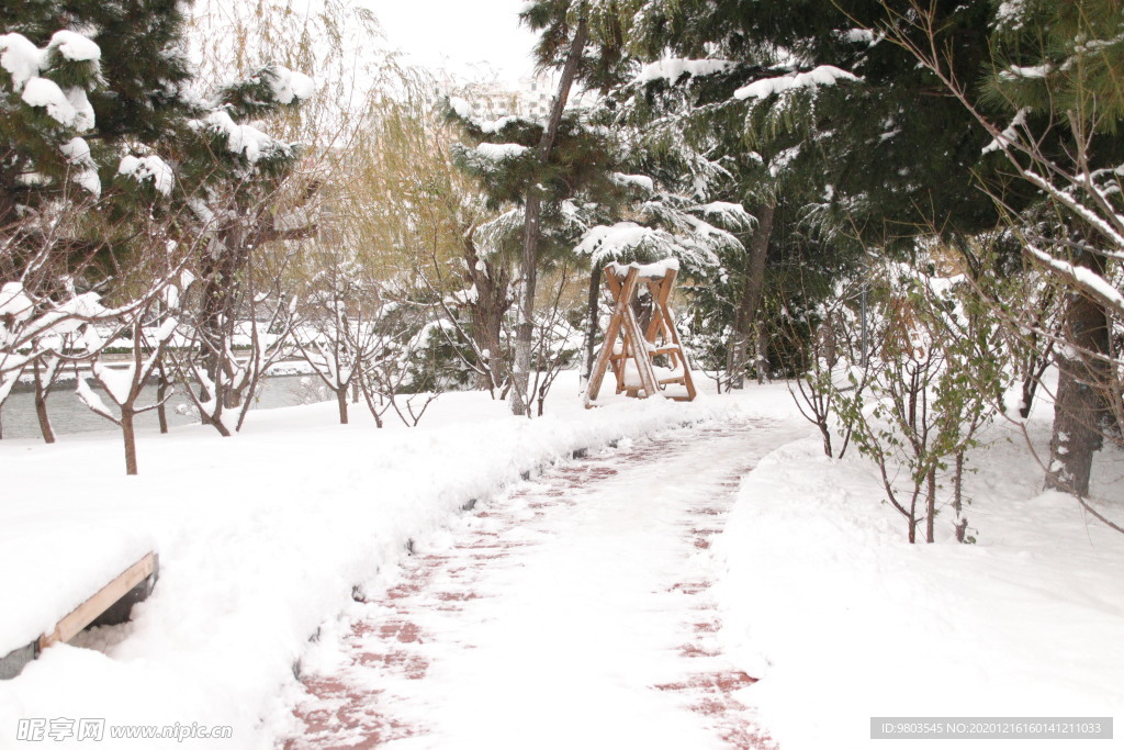 雪后公园